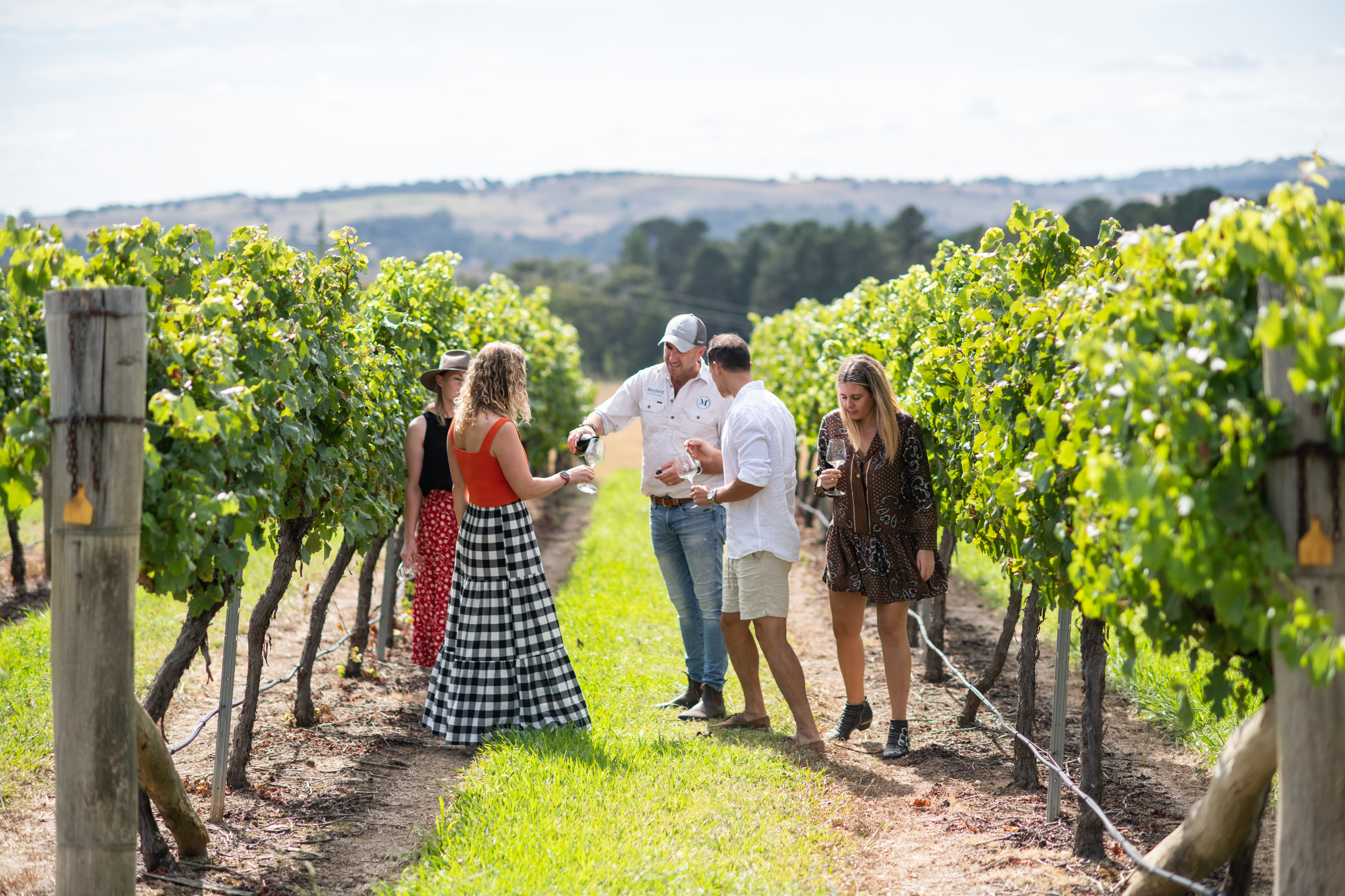 Explorers tasting wine in the vineyard 